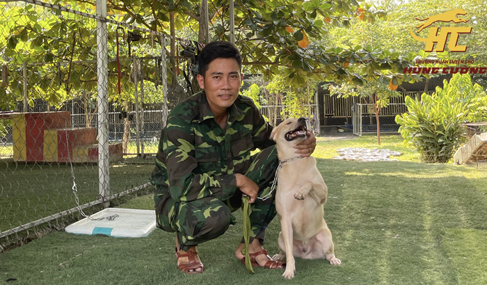 Chó Cỏ Việt Nam (Chó Ta): Đặc điểm, cách nuôi, giá bán