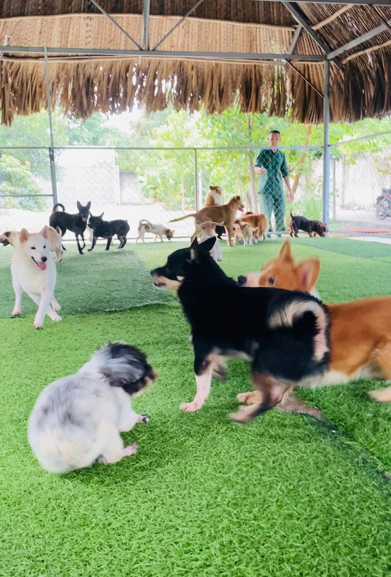 gui cho tet 1