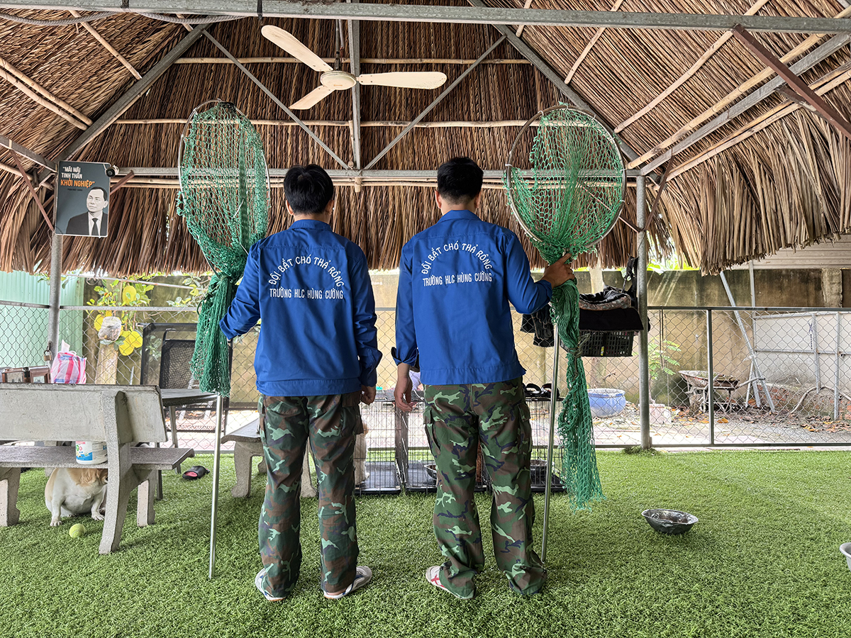 đội bắt chó thả rông hùng cường