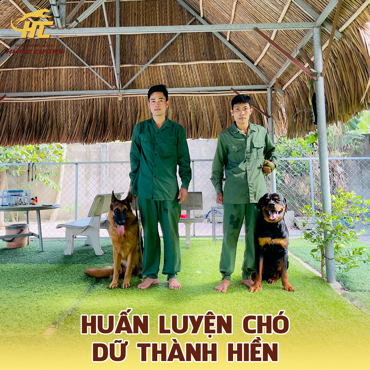 huấn luyện chó dữ thành hiền