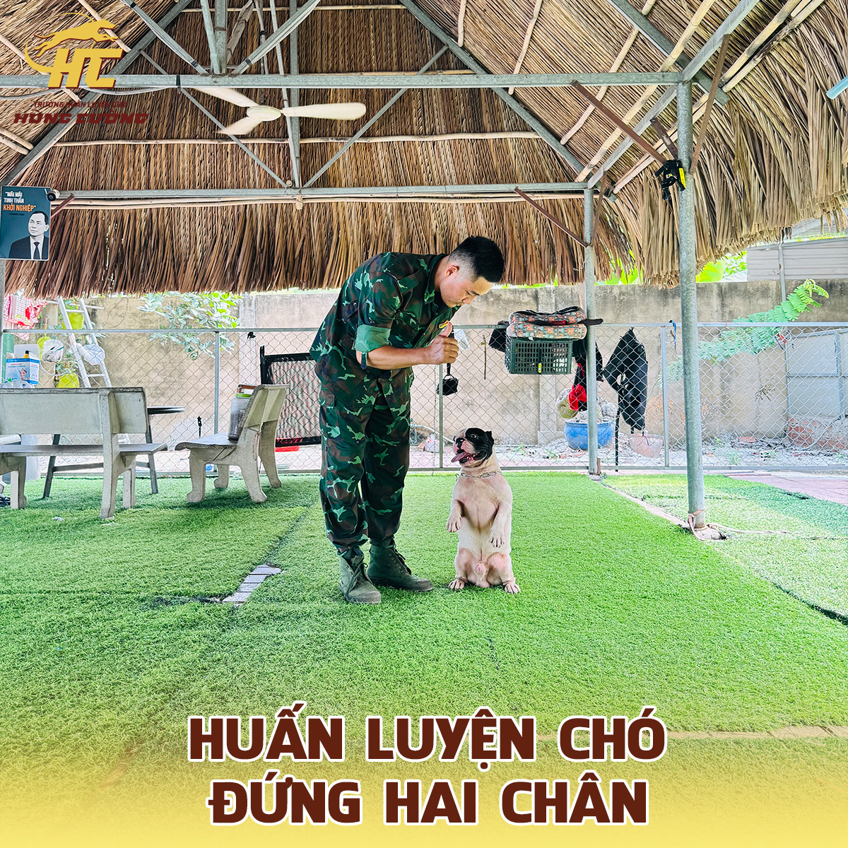 Huấn luyện chó đứng hai chân