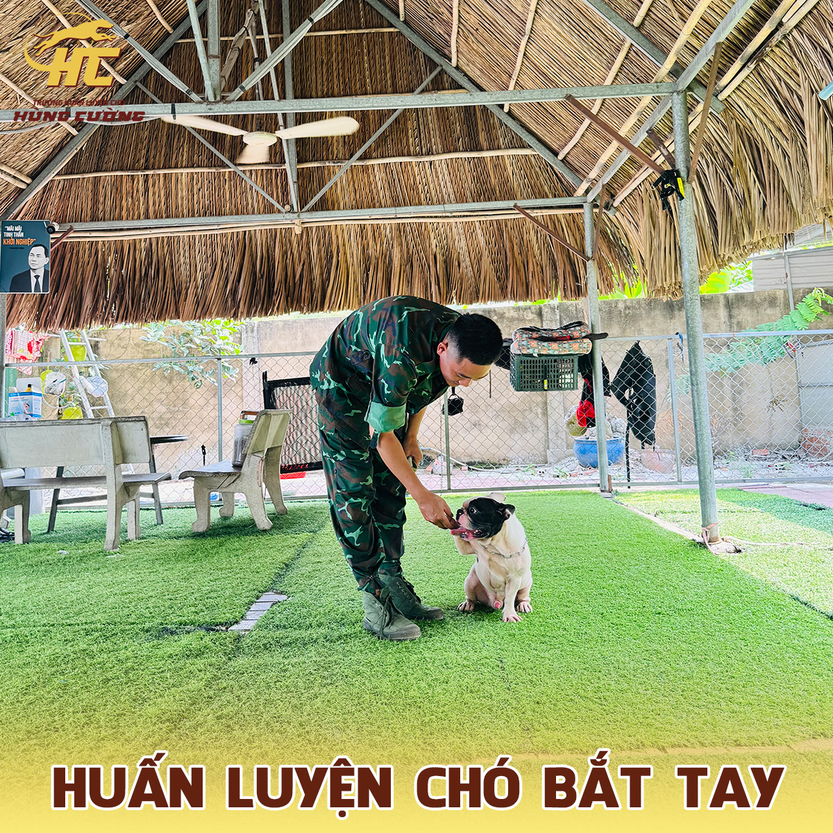 huấn luyện chó bắt tay