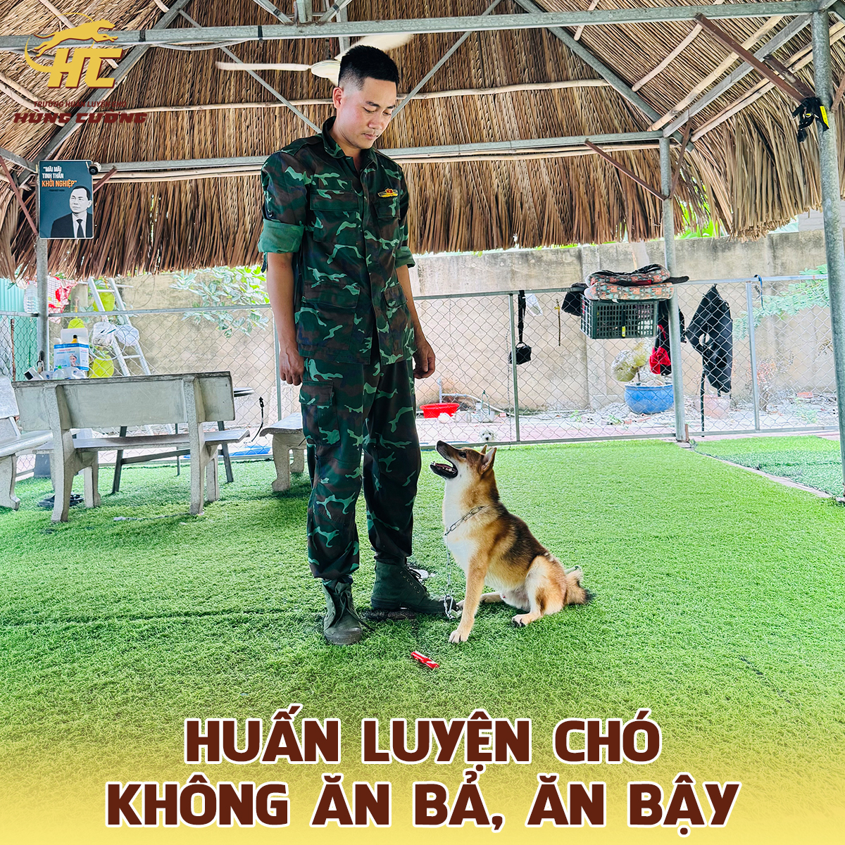 huấn luyện chó khong ăn bả, ăn bậy