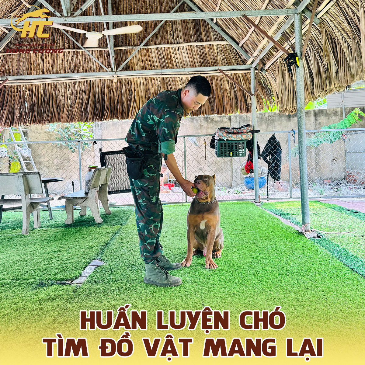 huấn luyện chó tìm đồ vật mang lại